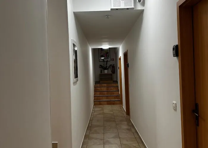 Borealis מוטל Komen